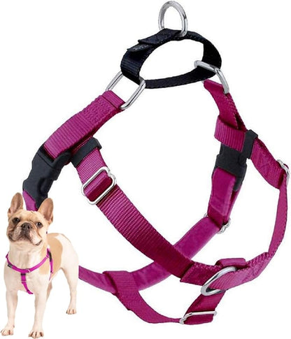 2 Hounds Design Freedom No Pull Dog Harness, Adjustable Harness, Easy Walking & Comfortable Control, Fits Small, Medium & Large Dogs, Solid Colors, Made in USA, 1" XL, Raspberry