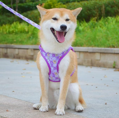 Moonpet Step in Dog Harness Leash Set- All Weather Reflective No-Pull Floral Pattern Padded Mesh Vest Harness for Cats Puppy Extra-Small Small Medium Large Dogs - Purple Flower - L