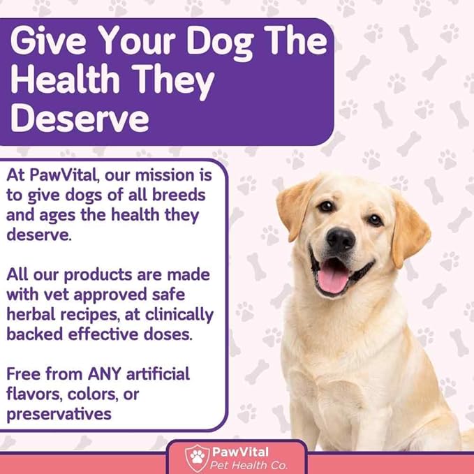 Dog UTI & Bladder Control Chews – Cranberry & D-Mannose Urinary Tract Support for Dogs, Helps Stop Leaking & Incontinence, All-Natural Chicken Flavor, 90 Soft Chews