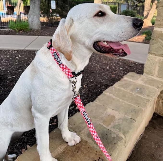 Lucky Love Dog - Easy Click Buckle Dog Collar with Leash Set Combo, Durable & Comfortable for Male & Female Dogs, Pet Collar for Small Dogs, Secure Fit - Bailey Combo, XS