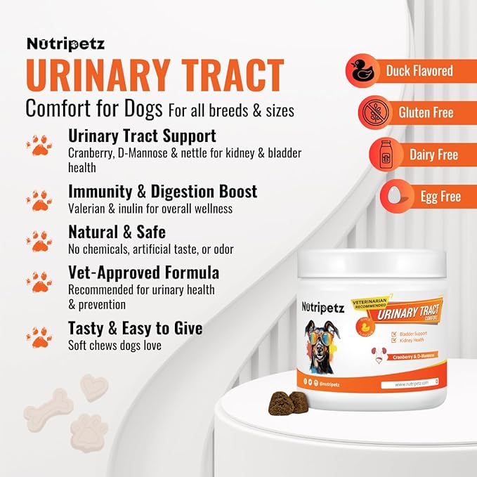 Urinary Comfort Chews for Dogs - Natural Cranberry & Herbal Blend for Kidney, Bladder & UT Health, 120 Soft Chews