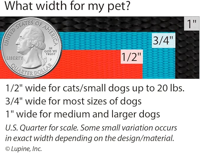 Lupine Dog Leash 6-Foot by 1" Wide PetuniasÊ