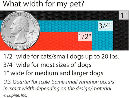Lupine Dog Leash 6-Foot by 1" Wide PetuniasÊ