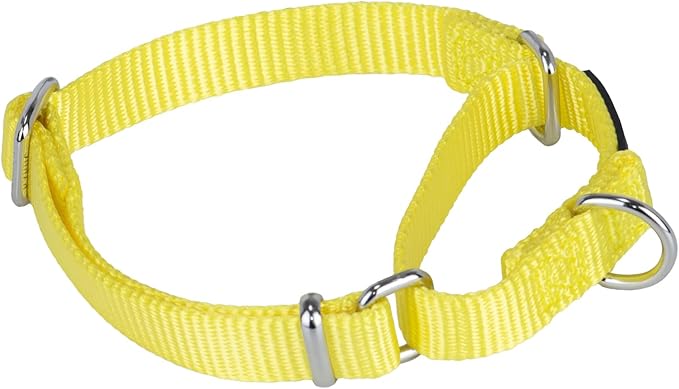 Hyhug Martingale Collar for Dogs Small Yellow |Escape - Proof Heavy Duty Nylon Durable No Buckle, Ideal for Training & Daily Walks