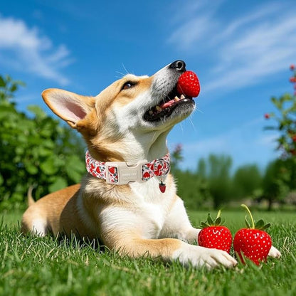 ARING PET Strawberry Dog Collar, Cute Summer Pink Pet Collars with Quick Release Buckle for Puppy Small Medium Large Boy Girl Dogs-L