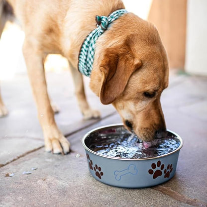 Loving Pets Bella Dog Bowls- Stainless Steel Dog & Cat Bowls - Spill Proof Dog Food Bowl, Cat Bowl, Puppy Essentials & Pet Supplies Great for Home & Travel (Large 35-65 lbs, Blueberry)