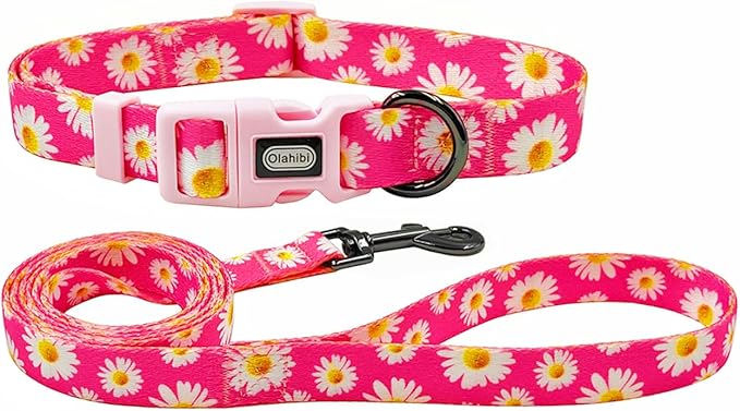 Dog Collar and Leash Set, Cute Pink Daisy Pattern, Polyester Material, 5ft Leash, for Medium Dogs.(M, Daisy Set)