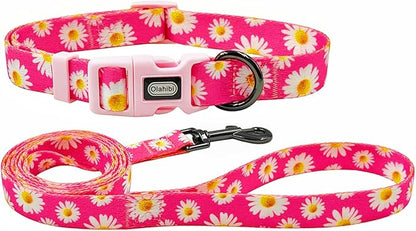 Dog Collar and Leash Set, Cute Pink Daisy Pattern, Polyester Material, 5ft Leash, for Puppy Dogs.(XS, Daisy Set)