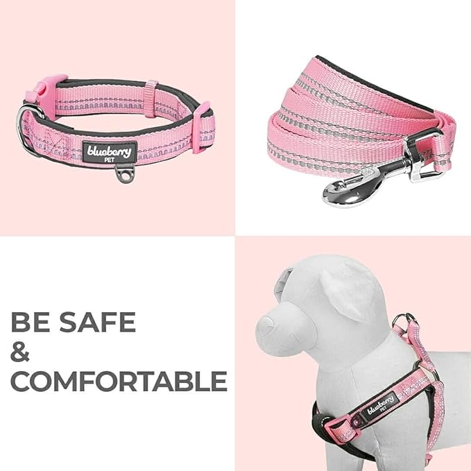 Blueberry Pet 3M Reflective Pastel Color Dog Leash with Soft & Comfortable Handle, 5 ft x 5/8", Orange Peel, Small, Leashes for Dogs