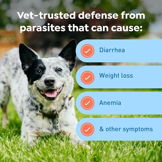 Interceptor Plus Prevention for Heartworm + 4 Other Worms for Dogs 25.1-50 lbs. | 6 Chews, 6-Month Supply