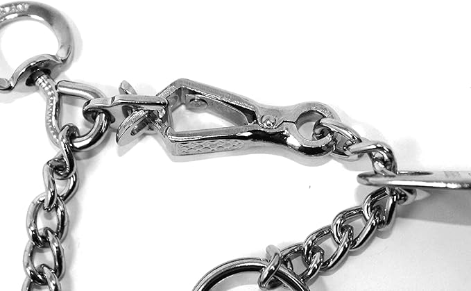 Herm Sprenger Dog Training Collar with Quick Release Buckle Ultra-Plus Chrome Plated Steel Training Collar Made in Germany 2.25mm x 16in Small