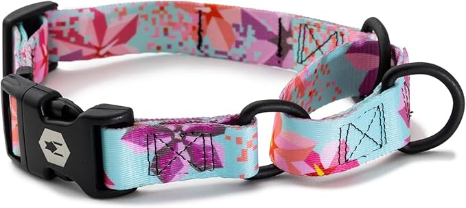 Wolfgang Heavy Duty Martingale Dog Collar with Quick Release Nylon Buckle for Walking & Training, DigiFloral Print, Medium