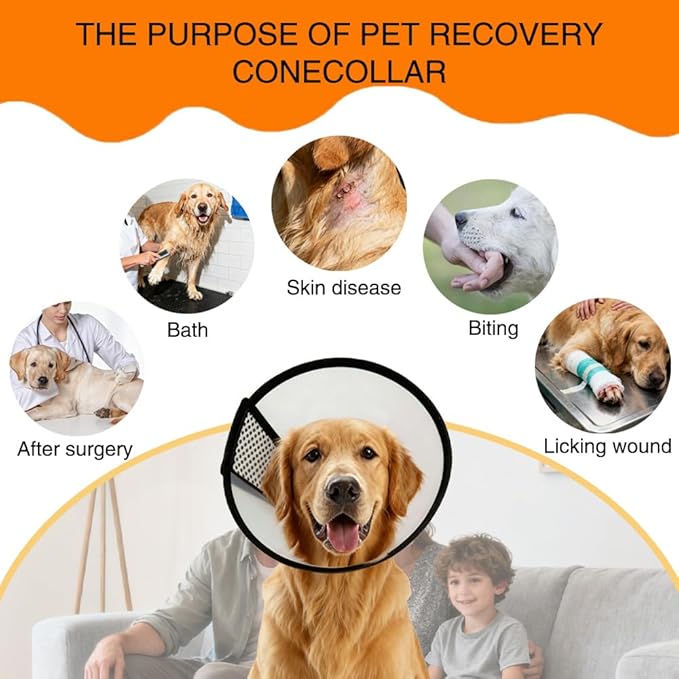 Dog Cone Collar After Surgery, Adjustable Elizabethan Collar for Dogs and Cats - Anti Lick Recovery Cone with Secure Wrap-Around Fastener for Wound Healing, Bathing (Clear, M)