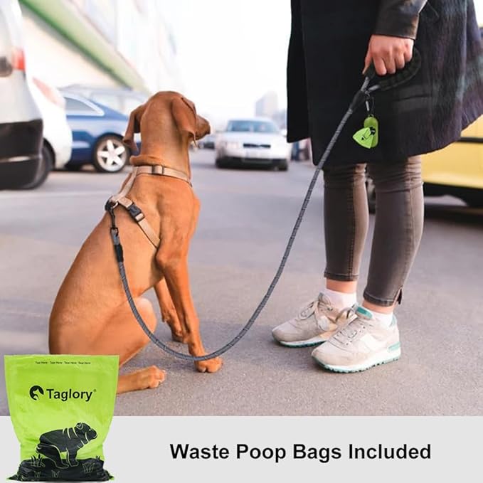 Taglory Rope Dog Leash 6 FT with Comfortable Padded Handle, Highly Reflective Threads Leash and Anti-Tangle Clip for Walking Small Dogs, 3/8 inch, Grey