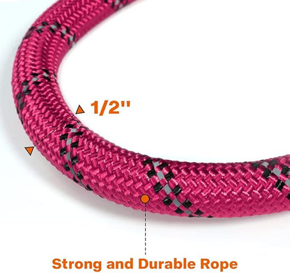 Taglory 16-24" Length, 1" Wide Dog Collar and Leash Set, 1/2" x 6 FT Highly Reflective Threads Dog Leash for Medium and Large Dogs,Hotpink