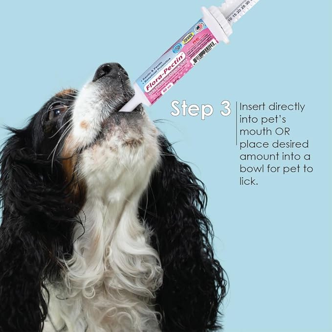 Oral Paste for Dogs & Cats-Helps Reduce Occasional Loose Stool & Diarrhea, Balance Gut pH, Support Normal Digestion & Intestinal Flora-Fast Acting (15 CC - Tasty Chicken Flavor)