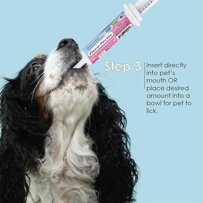 Oral Paste for Dogs & Cats-Helps Reduce Occasional Loose Stool & Diarrhea, Balance Gut pH, Support Normal Digestion & Intestinal Flora-Fast Acting (15 CC - Tasty Chicken Flavor)