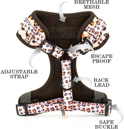 Dog Cat Harness and Leash Set, Puppia Soft Mesh Padded and Adjustable Puppy Vest Cute Dog Clothes Escape Proof Easy Walk Pet Accessories