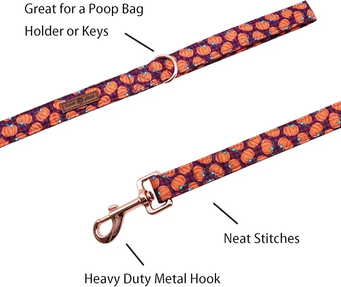 Lionet Paws Dog Leash,Handmade Dog Training Leash Pet Supply