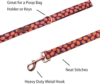 Lionet Paws Dog Leash,Handmade Dog Training Leash Pet Supply
