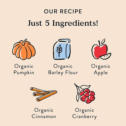 Bocce's Bakery Natural, Small Batch, Organic Dog Treats, Pumpk'n Harvest Biscuits, Wheat-Free, Limited-Ingredient, Made in The USA with 100% Recyclable Packaging, 12 oz Bag