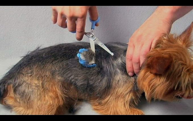 SCAREDY CUT Silent Pet Grooming Kit for Dog, Cat and All Pet Grooming - A Quiet Alternative to Electric Clippers for Sensitive Pets (Left-Handed Pink)
