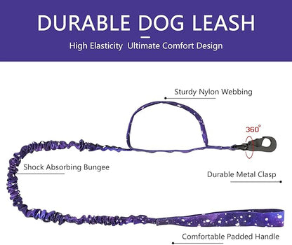 DAGANXI Tactical Dog Collar, Adjustable Military Training Nylon Dog Collar with Control Handle and Heavy Metal Buckle for Medium and Large Dogs, with Patches and Airtags Case (L, Purple Sky-Set)