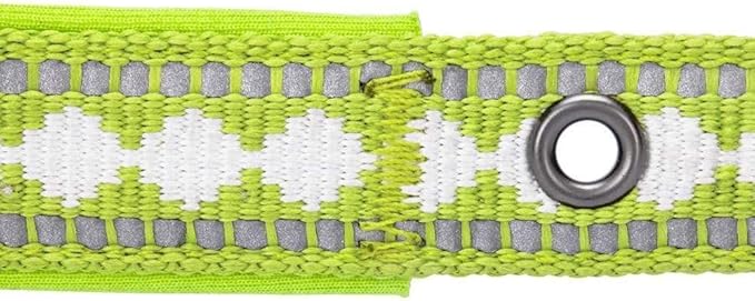 Blueberry Pet Reflective Jacquard Dog Collar with Neoprene Padding & Metal Buckle | Soft & Adjustable Safety Collar - Macaw Green, Neck 9-12.5", for Small Breed