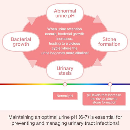 Doctor By UT Care Cat UTI Kidney Support Urinary Supplement Cranberry Treatment for Cats Renal Health with Pacran, Quercetin, Taurine lickable Formula Individually Packaged (1 Pack)