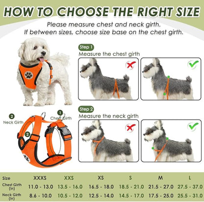 SlowTon Dog Seat Belt Harness for Car, Dog Car Harness Adjustable Mesh Breathable & Dog Seatbelt Safety Tether with Elastic Bungee for Small Medium Large Pets(Orange, Double Clip, XS)