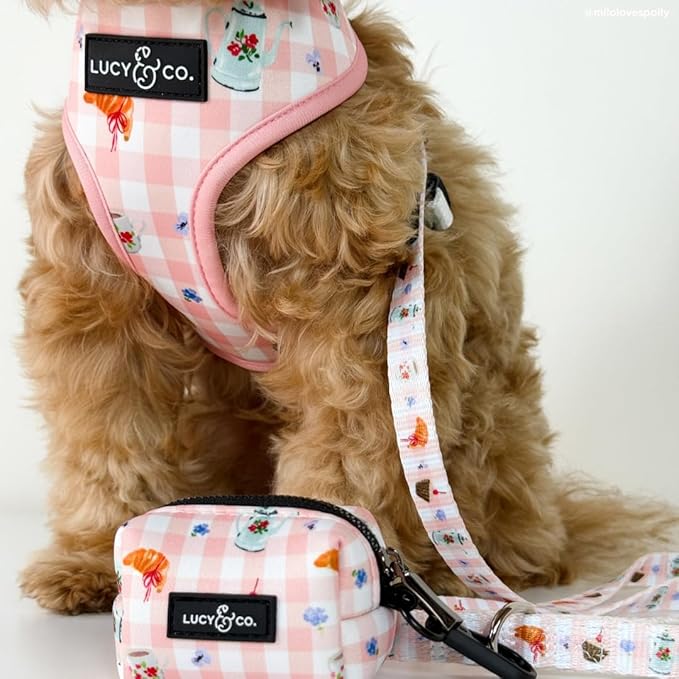 Lucy & Co. Sipping Slowly Dog Leash, Durable Matching Dog Lead with Heavy Duty Hardware, Small