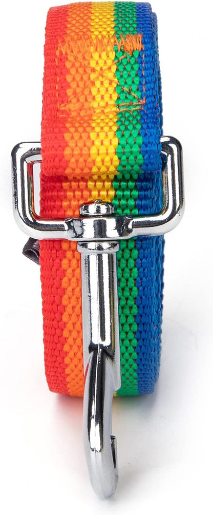 Strong Durable Nylon Dog Training Leash, 1 Inch Wide Traction Rope, 6 ft 10ft 15ft Long, for Small and Medium Dog (Rainbow, 15 Feet)