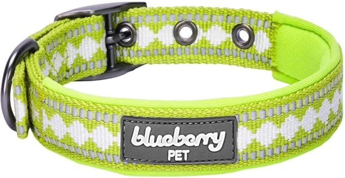 Blueberry Pet Reflective Jacquard Dog Collar with Neoprene Padding & Metal Buckle | Soft & Adjustable Safety Collar - Macaw Green, Neck 13-16.5", for Medium Breed