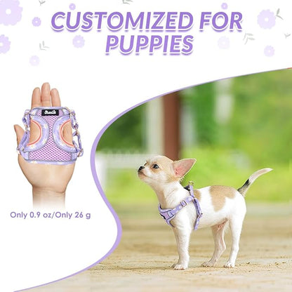Lukovee No Pull Puppy Harness and Leash Set - Soft Lightweight Escape Proof Puppy Vest Harness, Breathable Adjustable Pet Harness with Dog Leash for Small Dogs (Purple, S)