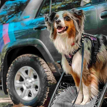 AUROTH Tactical Dog Harness for Small Medium Large Dogs No Pull Adjustable Pet Harness Reflective K9 Working Training Easy Control Pet Vest Military Service Dog Harnesses (S, Purple Camo)