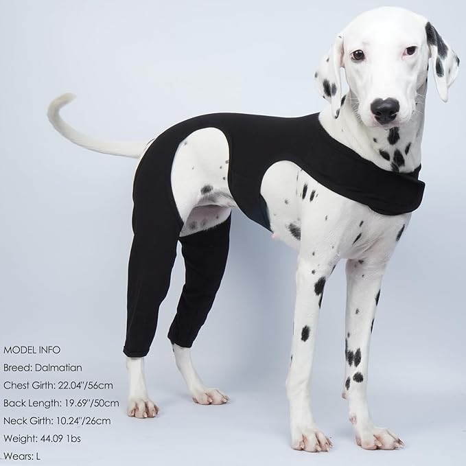 ROZKITCH Dog Pants to Prevent Licking for Rear Right Left Leg, Adjustable Pet Prevent Licking Wound Elbow Protector, Dog Cone Collar Alternative for Sprain ACL CCL Arthritis Joint Care Black M