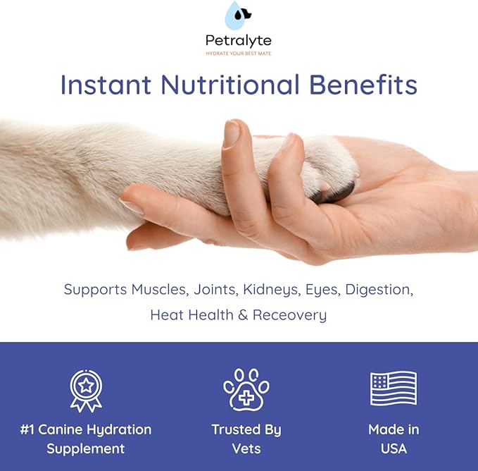 Petralyte Dog Electrolytes and Joint Supplement | Hydration Support for Dogs w/Glucosamine, Chondroitin & More | Electrolytes for Dogs with Prebiotics | for Beef Lovers | 16 Packets