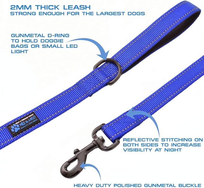 Max and Neo Small Dog Leash - Reflective Nylon, Donates to Dog Rescue (Teal, 4x5/8)