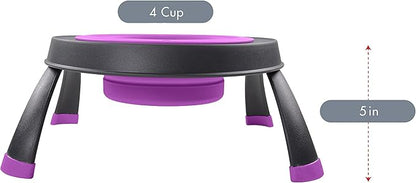 Dexas Pets Single Elevated Pet Feeder/Pet Bowl, 4 Cup Capacity, Fuchsia, Large/4 Cup Capacity