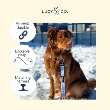 Lucy & Co. Bumbling Around Dog Leash, Durable Matching Dog Lead with Heavy Duty Hardware, Small