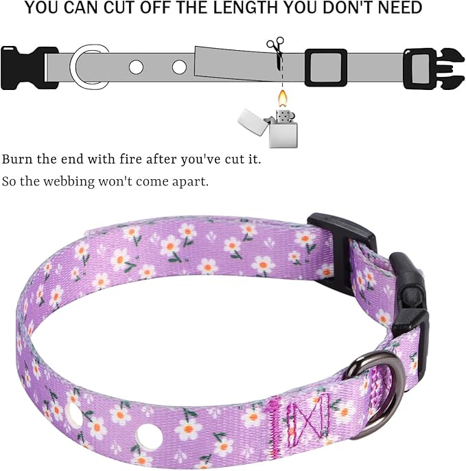 Rhea Rose 1 Inch Replacement Collar Strap Shock Collar with 2 Holes, Compatible with Nearly All Brands and Models of Underground Electric Dog Fences and Training Collars, Lavender Flowers