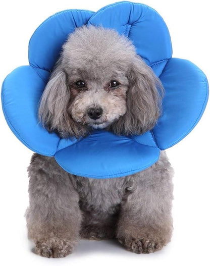 Dogs Cats Medical Grooming Pet E-Collar Recovery Remedy Protective Dog Lick Caught Soft Sponge Adjustable Postoperative Kit for Small and Medium Dog (Blue, L (neck's Girth 12.6" to 13.3"))