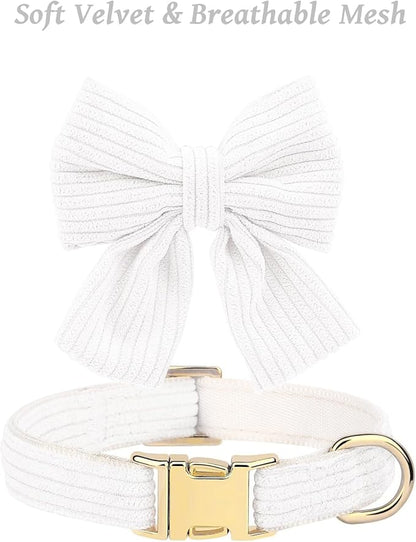 Dog Collar and Leash Set with Bowtie, Girl Dog Collars Metal Buckle Adjustable for Small Medium Dogs (White, S: Neck 10"-16" Leash 5 FT)
