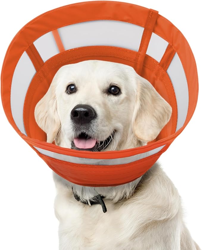 ASENKU Dog Cone Collar, Soft Adjustable Cone for Dogs to Stop Licking, Lightweight Recovery Dog Cone After Surgery, Pet E-Collar for Small, Medium & Large Dogs(Orange,L)