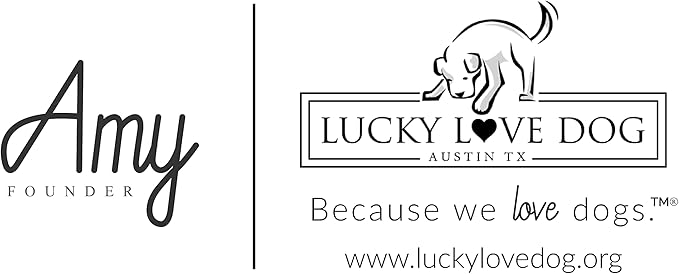 Lucky Love Dog Martingale Dog Collar - Adjustable, No-Slip, Durable, & Soft Webbing Collar for Male and Female Dogs Ideal for Training & Walking - Nacho, Large