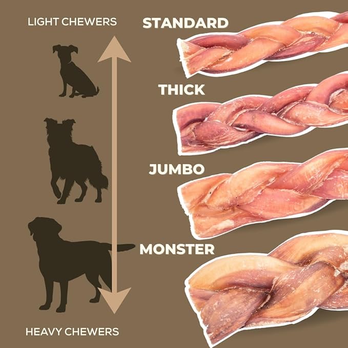 Bully Bunches All Natural 6" Standard Braided Bully Sticks - Odour Free, Rawhide Free, Chemical Free - Safe, Long Lasting Thick Beef Dog Chews - Fully Digestible Treat for Small and Medium Dogs, 10 Pk
