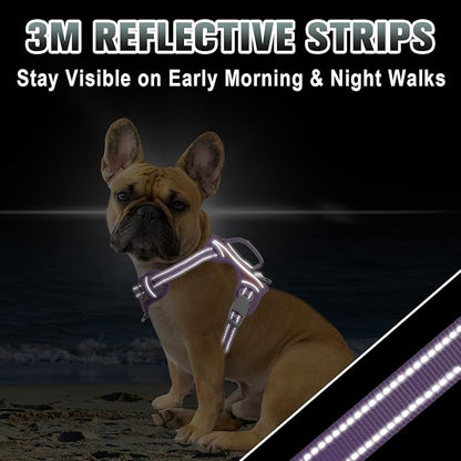 BARKBAY No Pull Dog Harness Large Reflective Dog Harness with Front Clip and Easy Control Handle for Walking Training Running with ID tag Pocket(Baby Pink & Violet Purple,S)