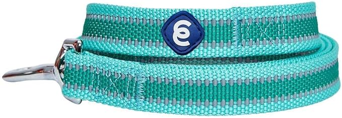 Blueberry Pet Essentials Reflective Back to Basics Matching Dog Harness and Leash Set, Minty Green, Adjustable Harness with 5 ft Leash for Small Dogs