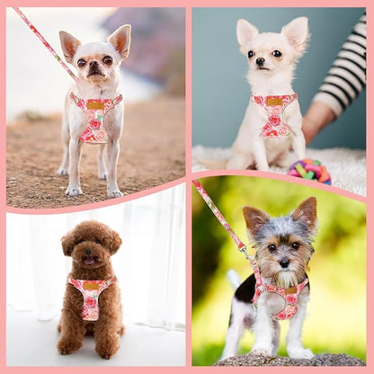 Lukovee Puppy Harness and Leash Set, No Pull Lightweight Soft Suede Adjustable Pet Harness Vest with Snap Buckle for Puppy Small and Medium Size Dog (Pink Rose, S)