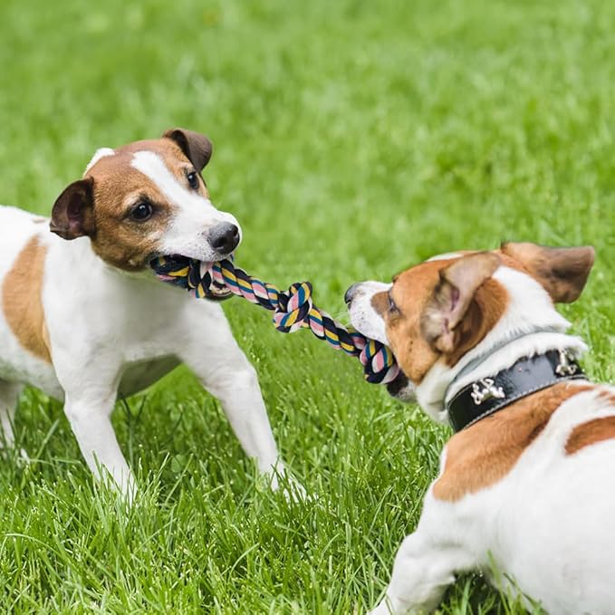Cutiful Dog Toys for Aggressive Chewers Large Medium Breed, Indestructible Dog Toothbrush Chew Toys, Squeaky Interactive Tough Extremely Durable, Dogs Toys to Keep Them Busy